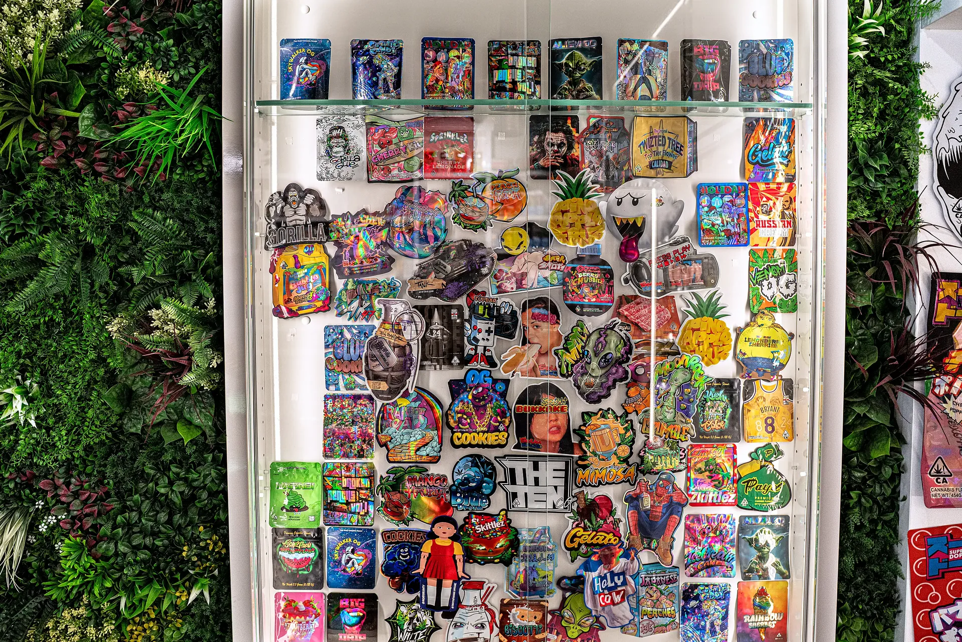 Display an der Mooswand — The Jungle Headshop