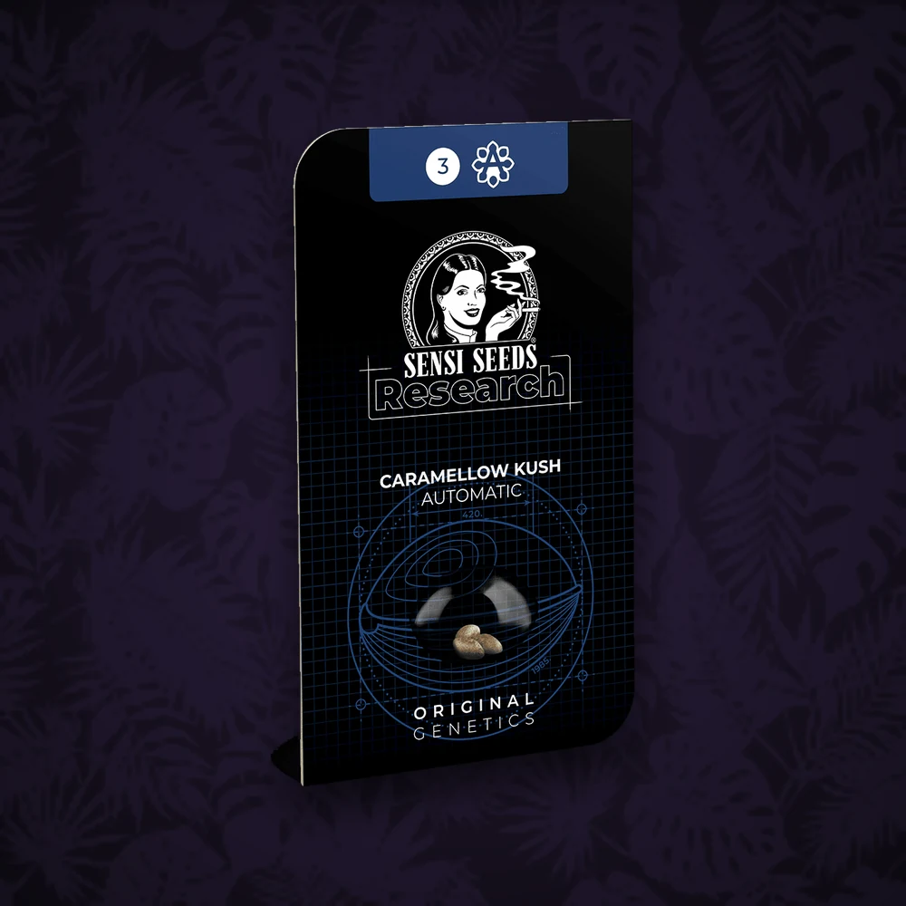 Sensi Seeds - Caramellow Kush - Automatic - 3 Stück — Ansicht 3