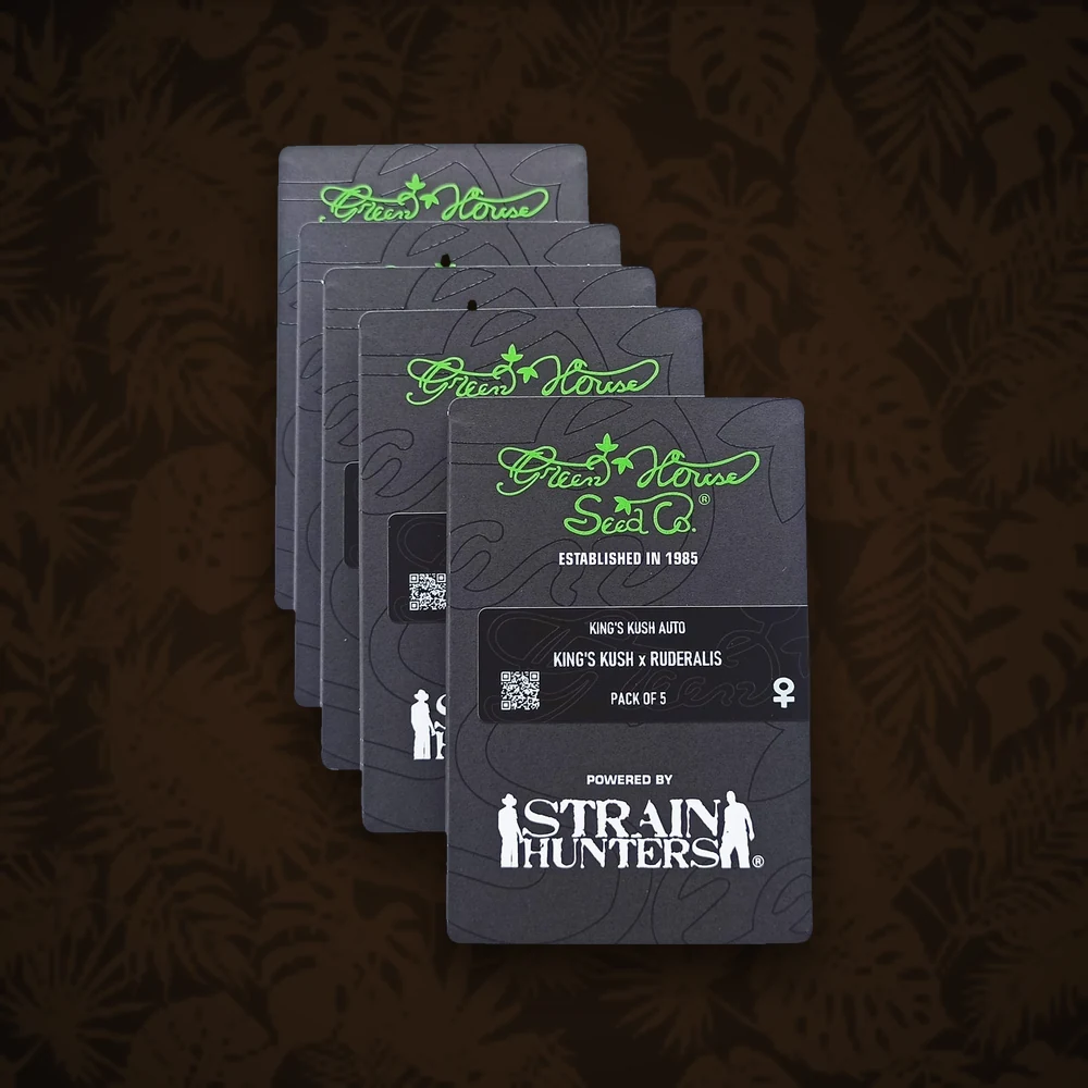 Green House Seeds - Neville´s Haze - Feminisiert - 3 Stück — Ansicht 2