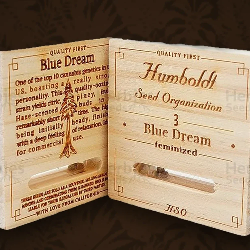 Humboldt Seeds Company - Blue Dream - Feminisiert - 3 Stück — Ansicht 2