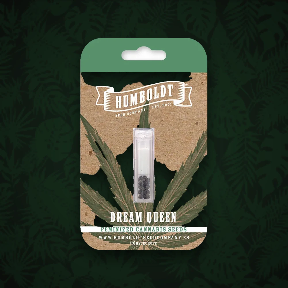 Humboldt Seeds Company - Blue Dream - Feminisiert - 3 Stück — Ansicht 3
