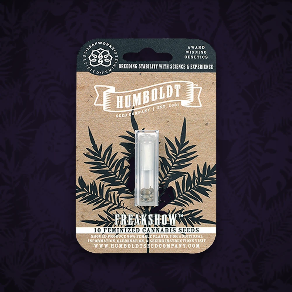 HUMBOLDT Humboldt Seeds Company - Sapphire OG - Feminisiert - 3 Stück