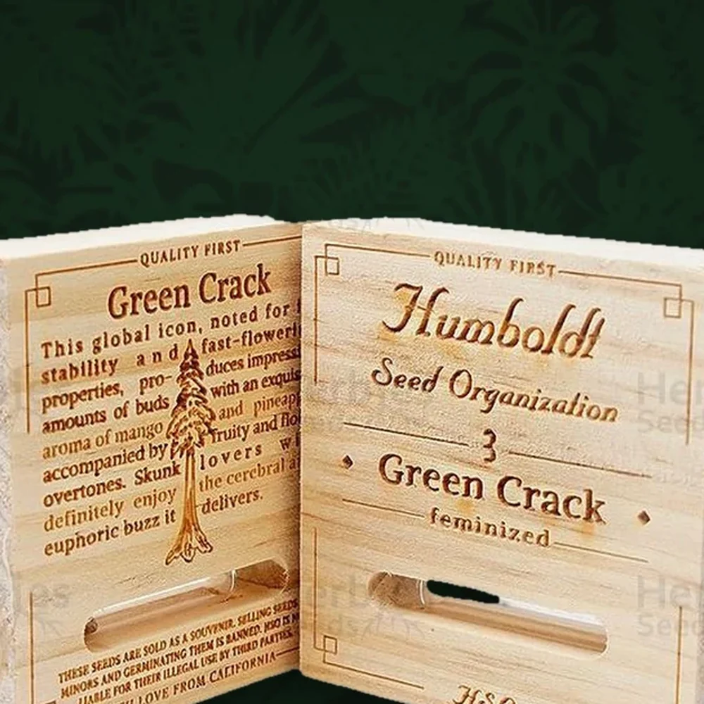 Humboldt Seeds Company - Green Crack - Feminisiert - 3 Stück — Ansicht 2