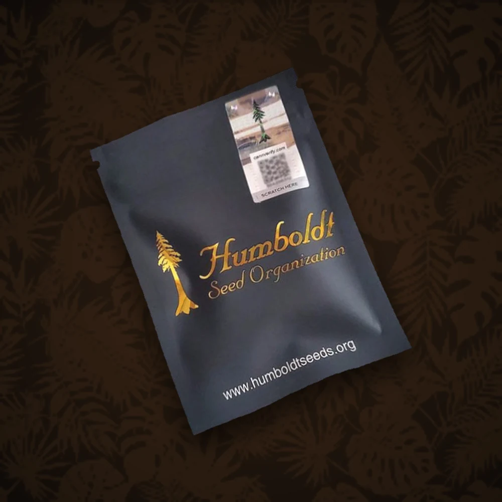 Humboldt Seeds Company - Banana Sapphire - Feminisiert - 3 Stück — Ansicht 3