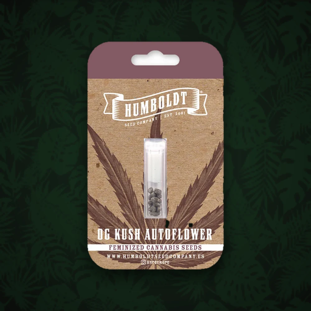 HUMBOLDT Humboldt Seeds Company - OG Kush - Automatic - 3 Stück