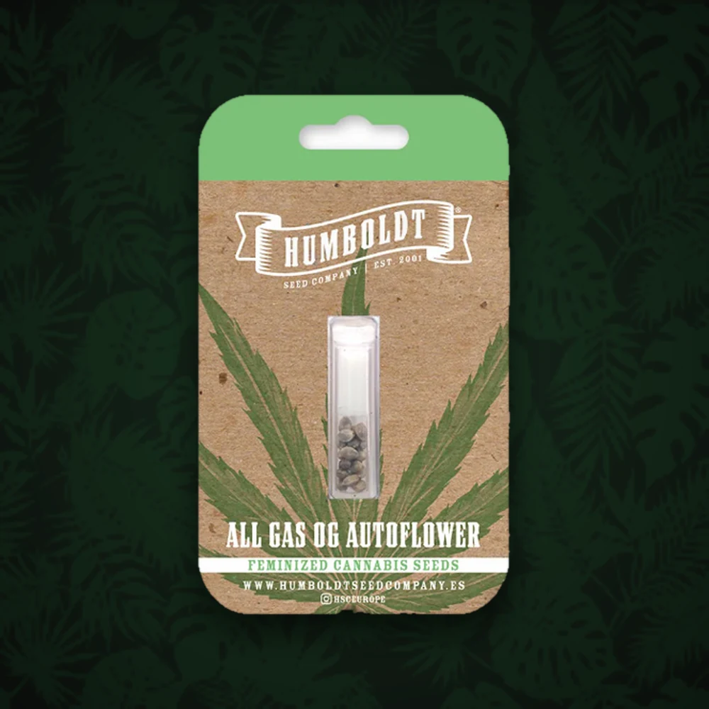 Humboldt Seeds Company - OGKZ - Automatic - 3 Stück — Ansicht 3