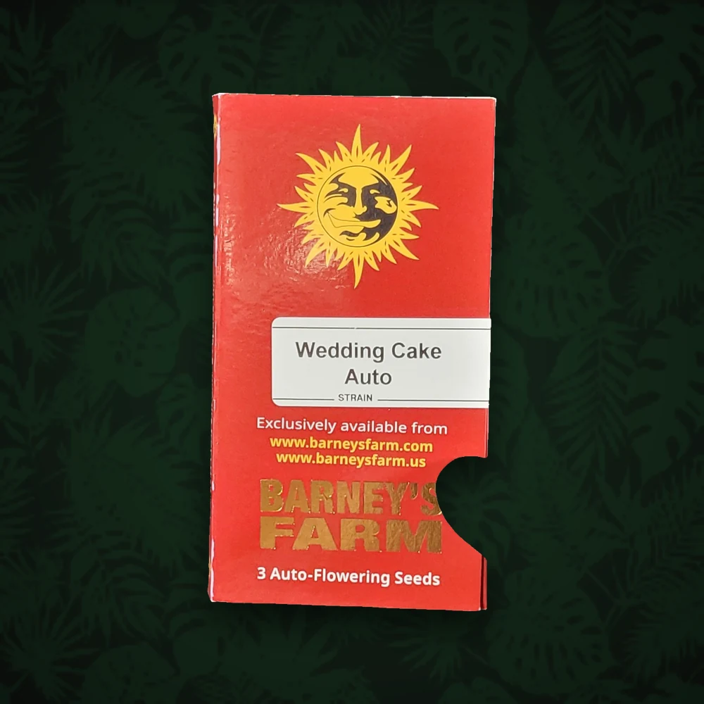 Barney's Farm - Wedding Cake - Auto - 3 Stück — Ansicht 2