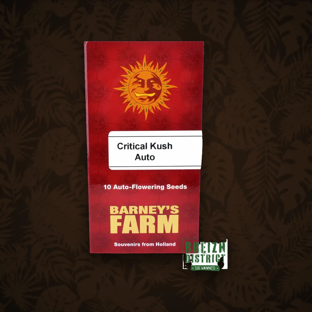 BARNEY'S FARM Barney's Farm - Critical Kush - Auto - 3 Stück