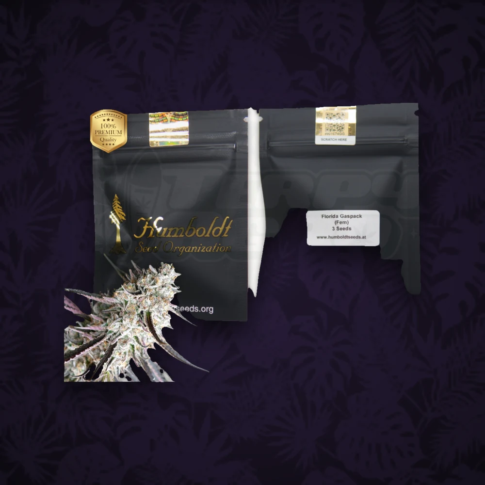 Humboldt Seeds - Florida Gaspack - Feminisiert - 3 Stk. — Ansicht 2