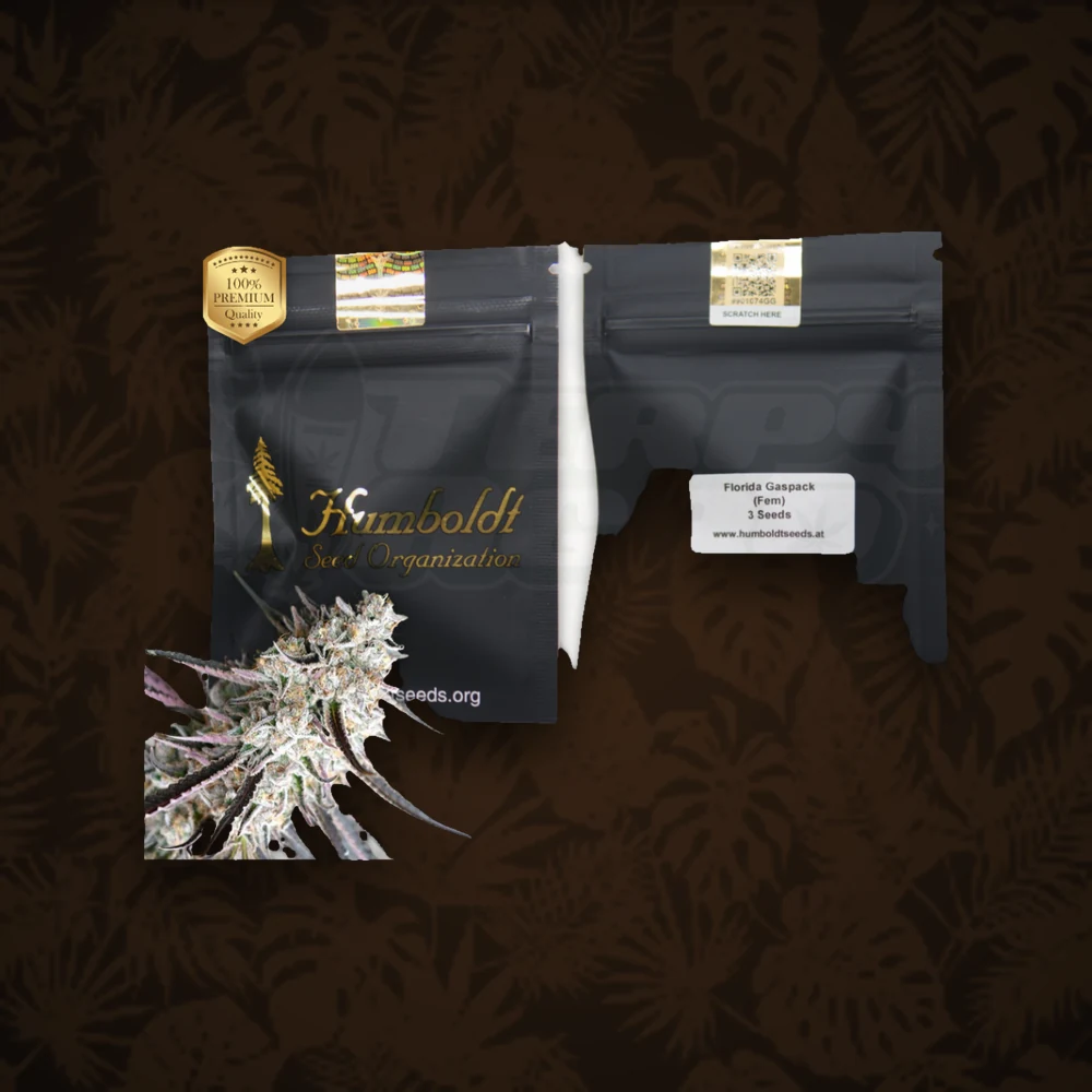 Humboldt Seeds - Florida Gaspack - Feminisiert - 3 Stk. — Ansicht 3