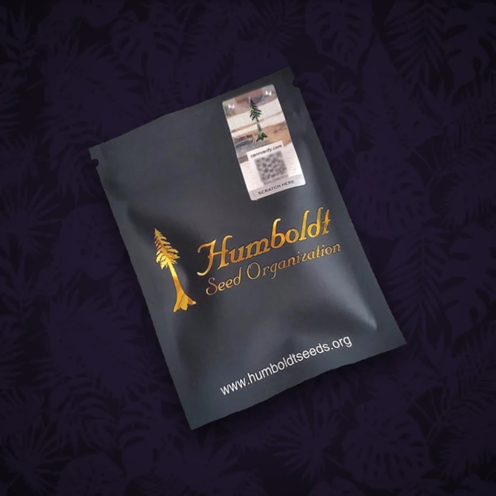HUMBOLDT Humboldt Seeds - Florida Gaspack - Feminisiert - 3 Stk.